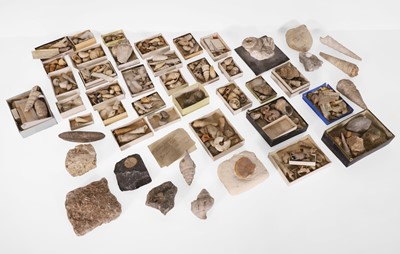 Lot 298 - A large collection of fossils