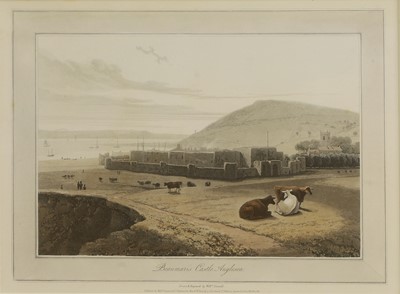 Lot 110 - After William Daniell