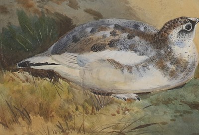 Lot 381 - Attributed to Otto Murray-Dixon (1885-1917)