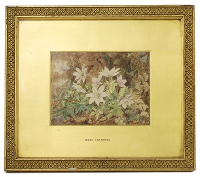Lot 312 - Constance Hilliard (1852-1915)