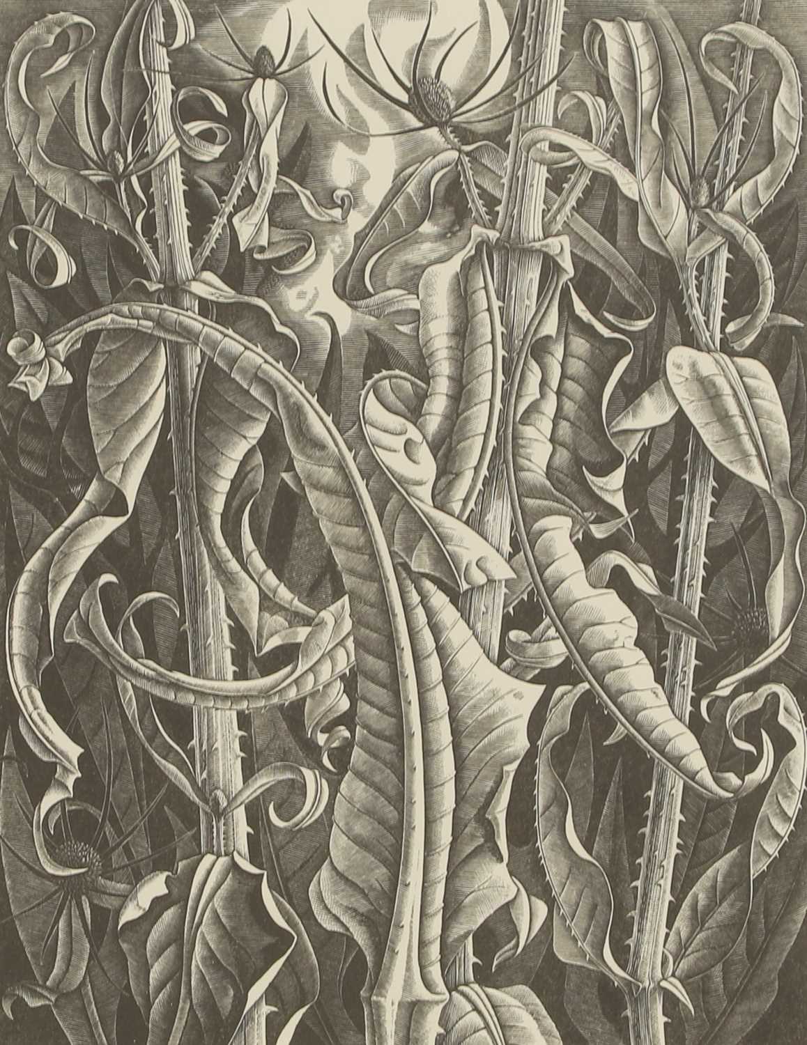 Lot 66 - Monica Poole (1921-2003)