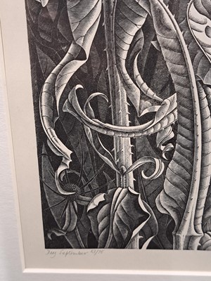 Lot 66 - Monica Poole (1921-2003)