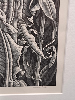 Lot 66 - Monica Poole (1921-2003)
