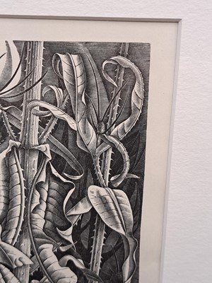 Lot 66 - Monica Poole (1921-2003)