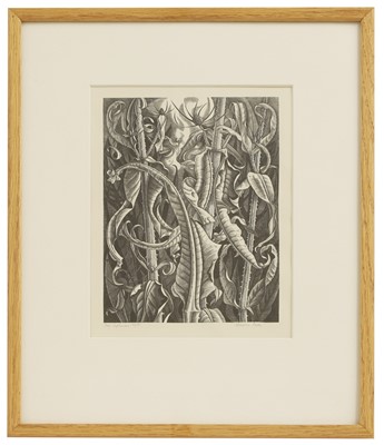 Lot 66 - Monica Poole (1921-2003)