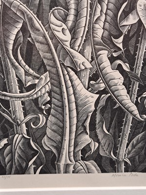 Lot 66 - Monica Poole (1921-2003)