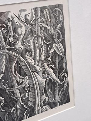 Lot 66 - Monica Poole (1921-2003)