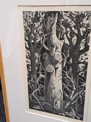 Lot 66 - Monica Poole (1921-2003)