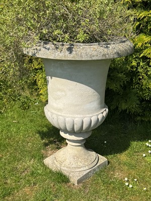 Lot 507 - A pair of large campagna urns