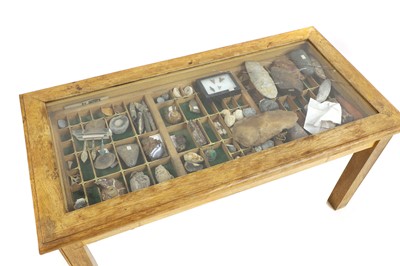 Lot 236 - A collection of fossils