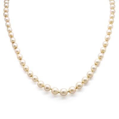 Lot 195 - A single row cultured pearl necklace