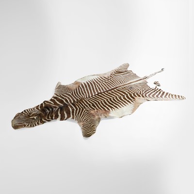Lot 349 - Taxidermy: a zebra skin rug