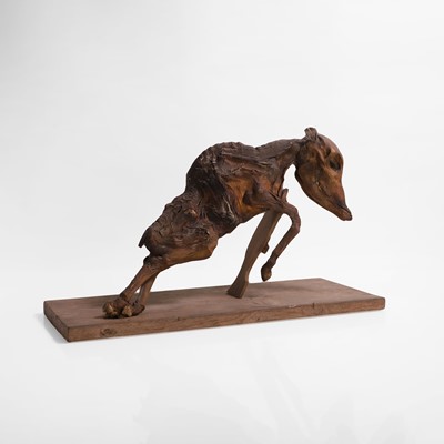 Lot 40 - A mummified horse foetus