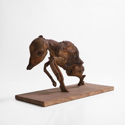 Lot 40 - A mummified horse foetus