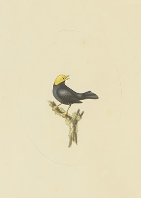 Lot 306 - William Hayes (1729-1799)