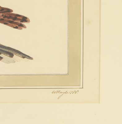 Lot 306 - William Hayes (1729-1799)
