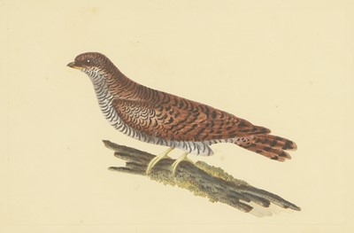 Lot 306 - William Hayes (1729-1799)