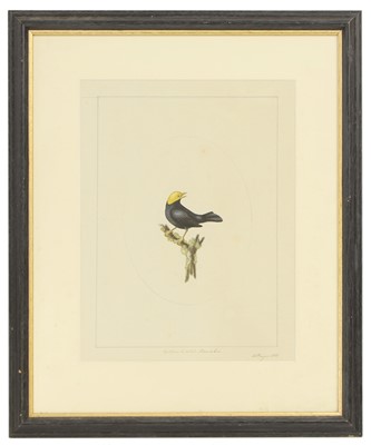 Lot 306 - William Hayes (1729-1799)