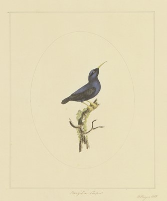 Lot 306 - William Hayes (1729-1799)