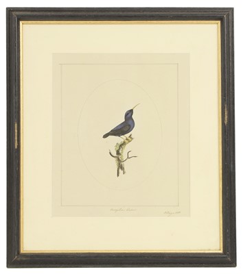 Lot 306 - William Hayes (1729-1799)