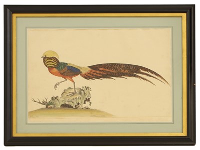 Lot 307 - William Hayes (1729-1799)