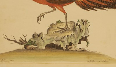 Lot 307 - William Hayes (1729-1799)