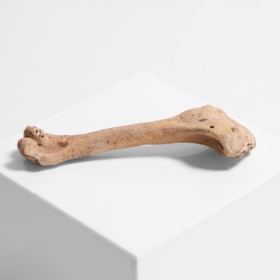 Lot 330 - A Dodo right humerus bone