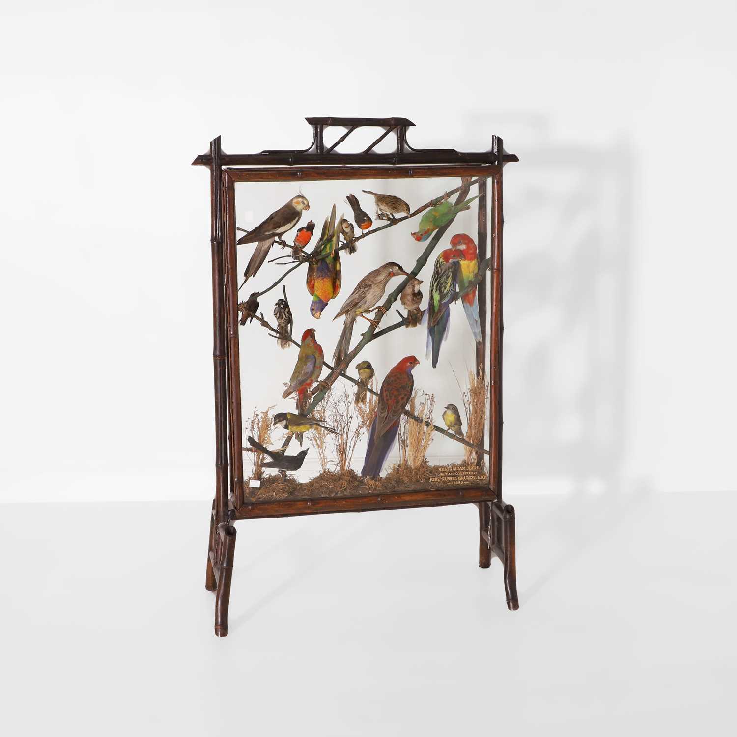 Lot 329 - A fire screen filled with a taxidermy of Australian birds