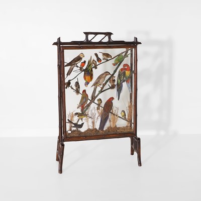 Lot A fire screen filled with taxidermy Australian birds