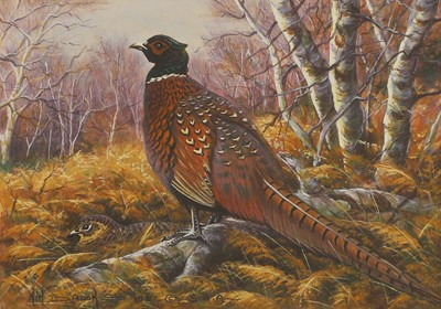 Lot 320 - Kim Brooks (b.1936)
