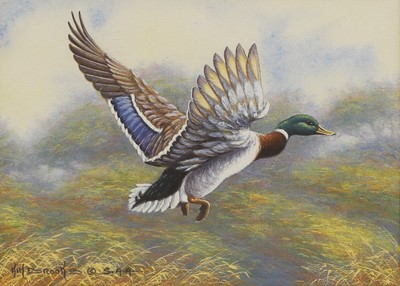 Lot 319 - Kim Brooks (b.1936)