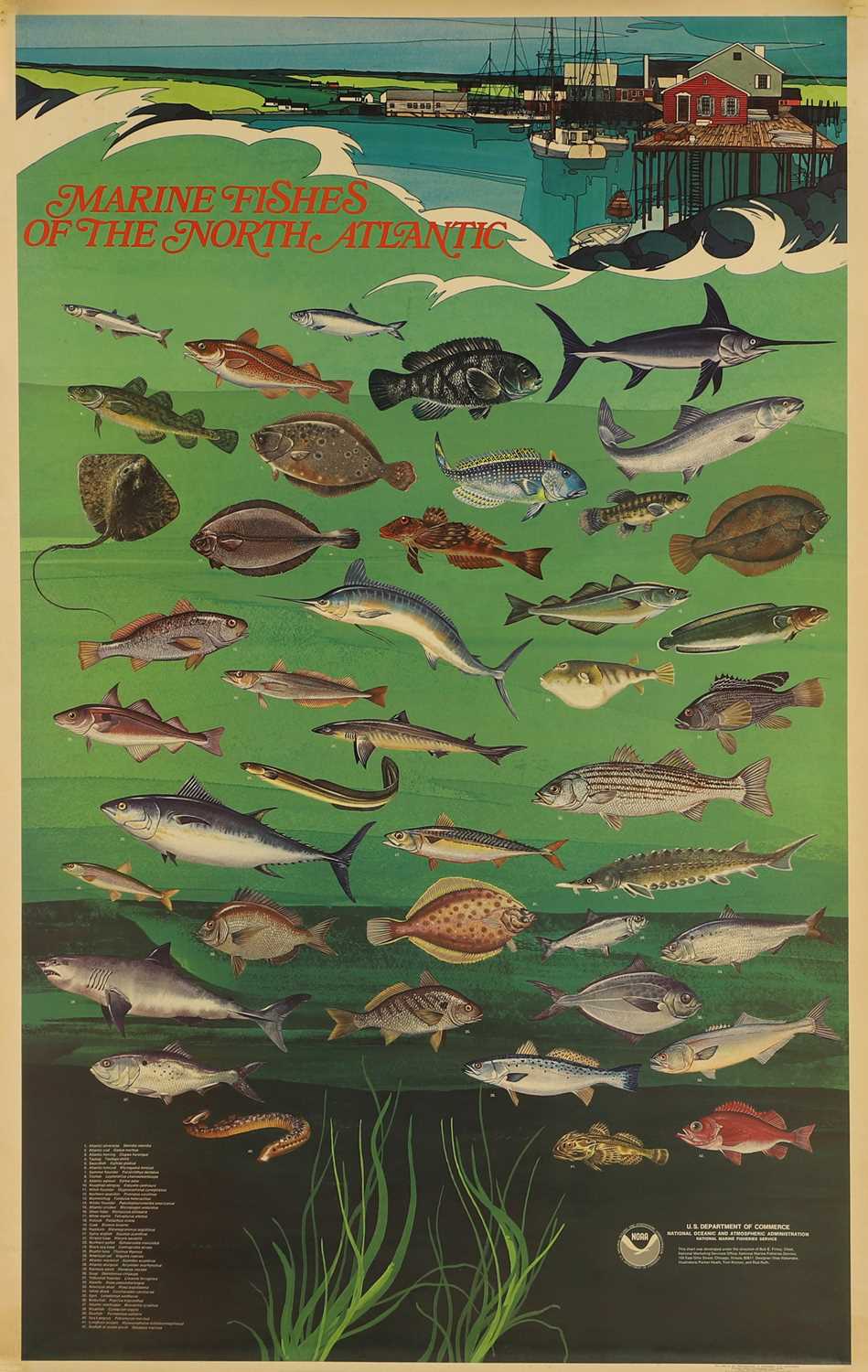 Lot 281 - 'Marine Fishes of the North Atlantic'