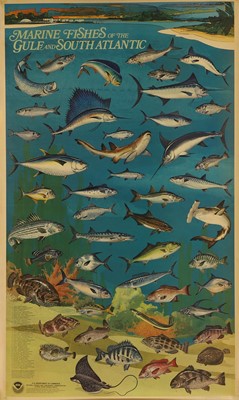 Lot 280 - 'Marine Fishes of the Gulf and South Atlantic'