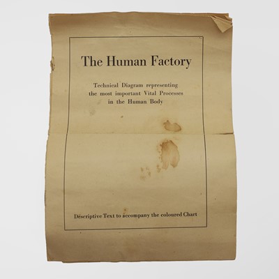 Lot 367 - The 'Human Factory' medical poster