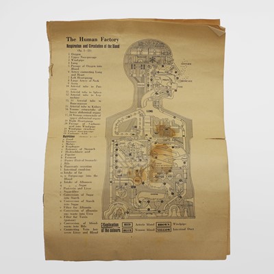 Lot 367 - The 'Human Factory' medical poster