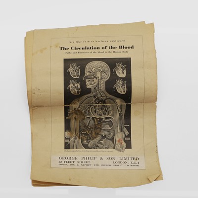Lot 367 - The 'Human Factory' medical poster