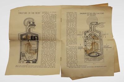 Lot 367 - The 'Human Factory' medical poster