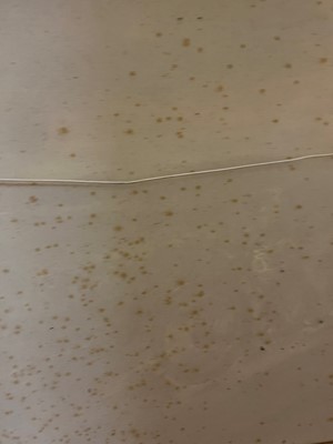 Lot 276 - Terence Cuneo (1907-1996)