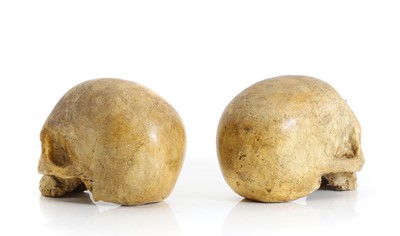 Lot 326 - A pair of plaster skulls