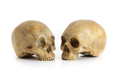 Lot 326 - A pair of plaster skulls