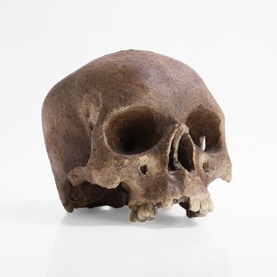Lot 288 - A porcelain human skull