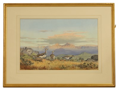 Lot 283 - John Cyril Harrison (1898-1985)