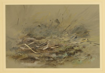 Lot 302 - George Edward Lodge (1860-1954)