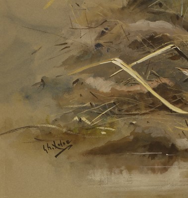 Lot 302 - George Edward Lodge (1860-1954)