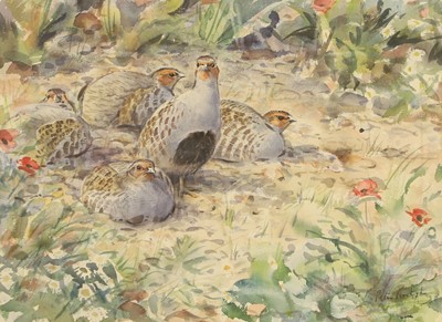 Lot 303 - Peter Partington (1941-2025)