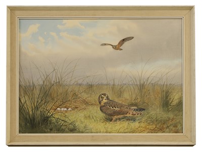 Lot 284 - John Cyril Harrison (1898-1985)