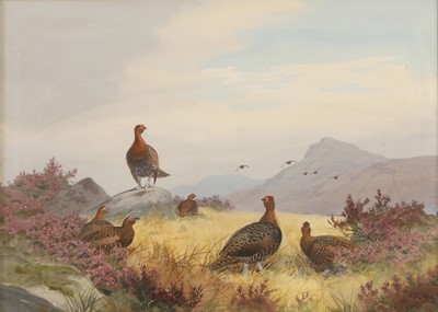 Lot 293 - John Cyril Harrison (1898-1985)