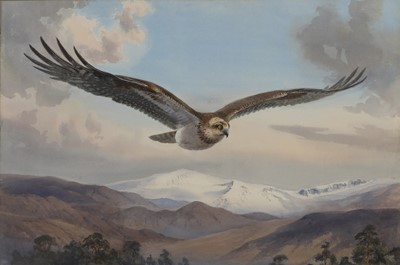 Lot 282 - John Cyril Harrison (1898-1985)
