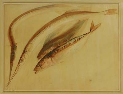 Lot 309 - Edward Julius Detmold (1883-1957)