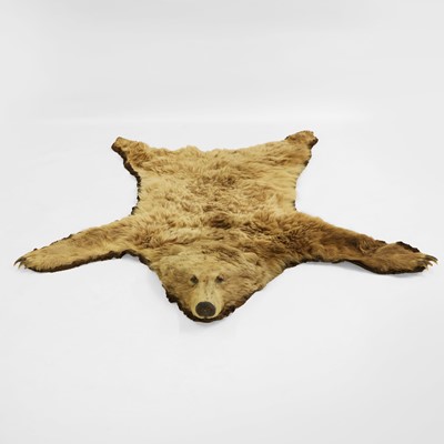 Lot 356 - Taxidermy: a Brown Bear (Ursus arctos) taxidermy rug
